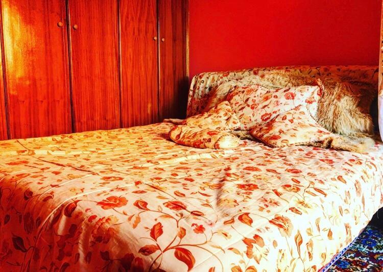 Appartement Des Roses